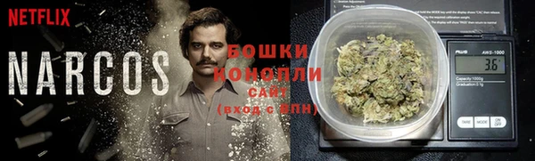 ECSTASY Новозыбков
