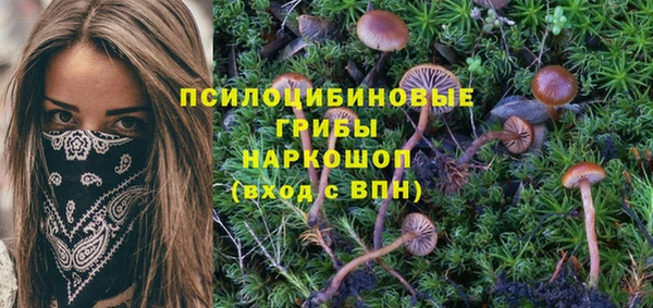 амф Новокубанск