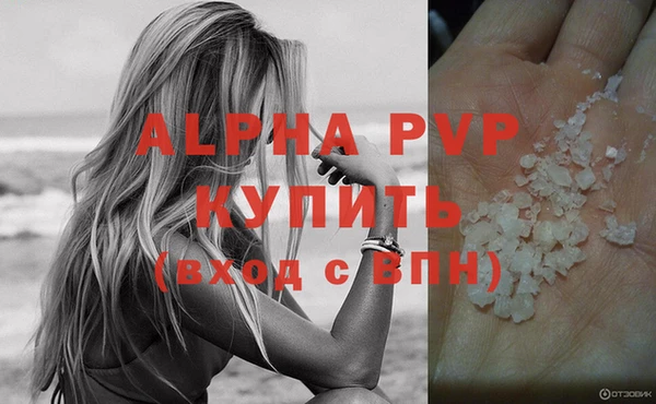 амф Новокубанск