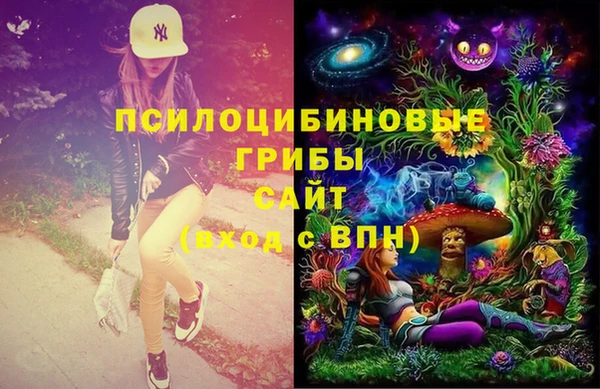 амф Новокубанск