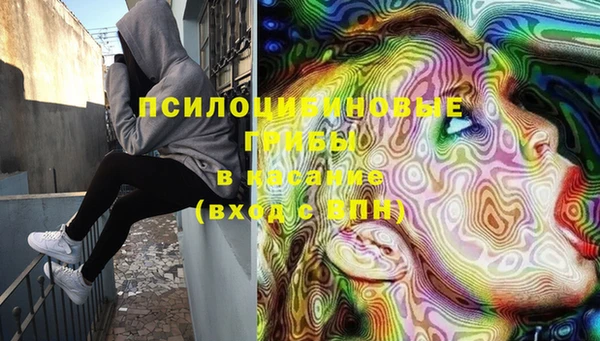 ECSTASY Новозыбков