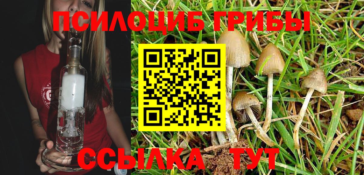 Псилоцибиновые грибы Psilocybe  Псилоцибиновые грибы ЛСД  Железногорск 