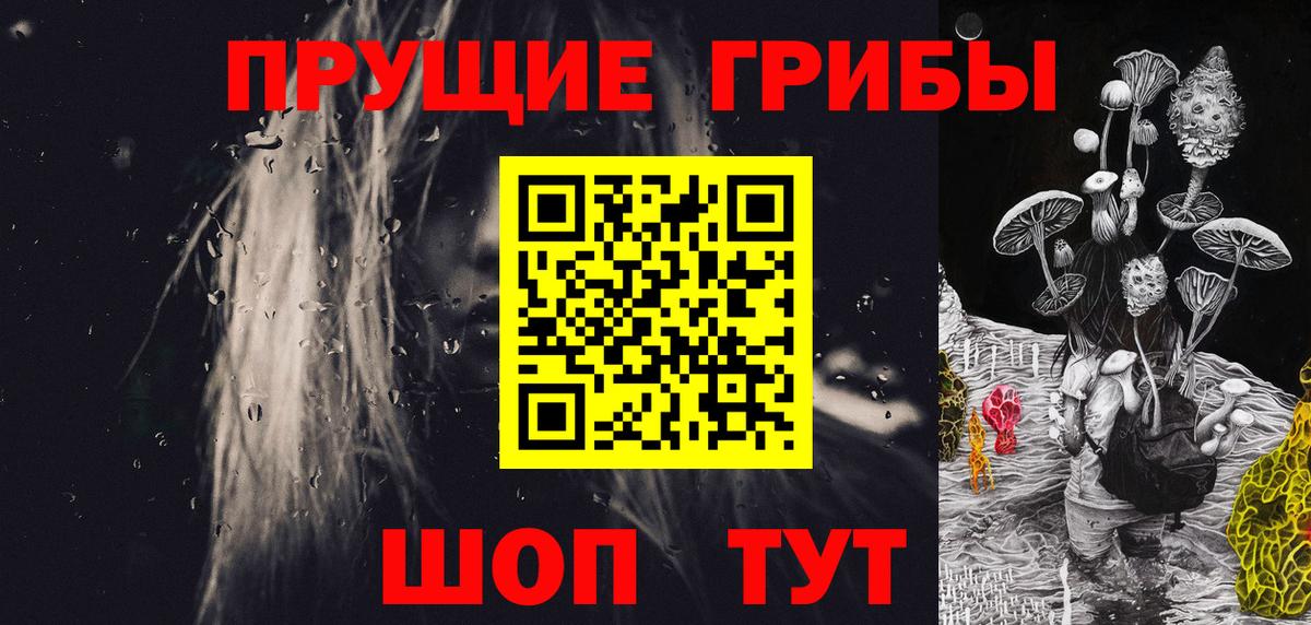 Псилоцибиновые грибы GOLDEN TEACHER Железногорск