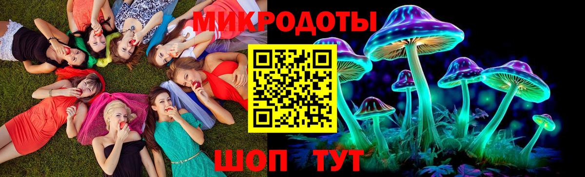 Псилоцибиновые грибы Magic Shrooms  купить наркотики цена  Псилоцибиновые грибы GOLDEN TEACHER  Железногорск  Вход с VPN 